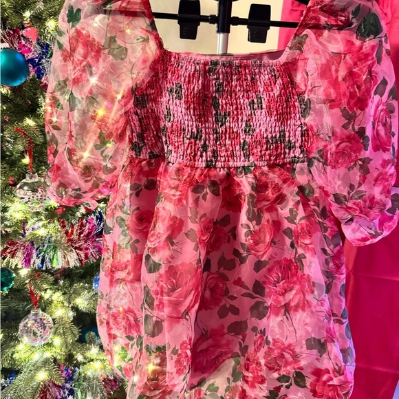Pink and Floral Print 3/4 Sleeve Organza Mini Dress - Picture 3 of 6
